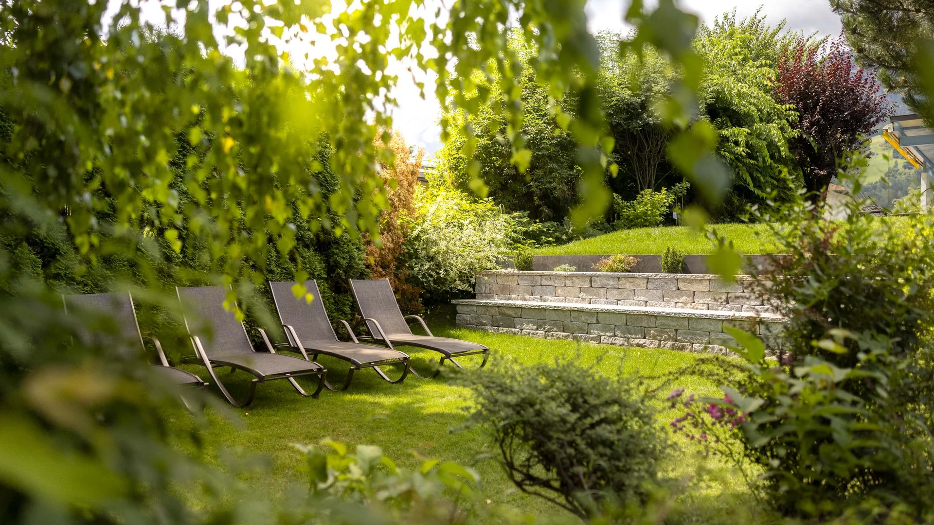 Vier Liegestühle auf grünem Rasen in einem sonnigen Garten
