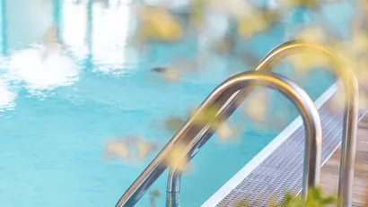 Pool mit Metallleiter und Grünpflanzen an einem sonnigen Tag