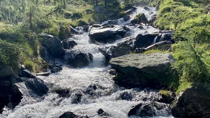 Bergbach mit fließendem Wasser, umgeben von Bäumen und Felsen im Sonnenlicht