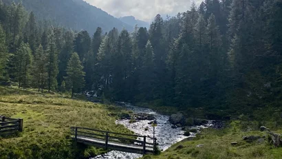 Bergwiese mit Bach, kleiner Holzbrücke und bewaldeten Hügeln im Sonnenschein